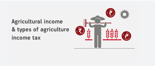 file-your-itr-now-for-agriculture-income-apply-now